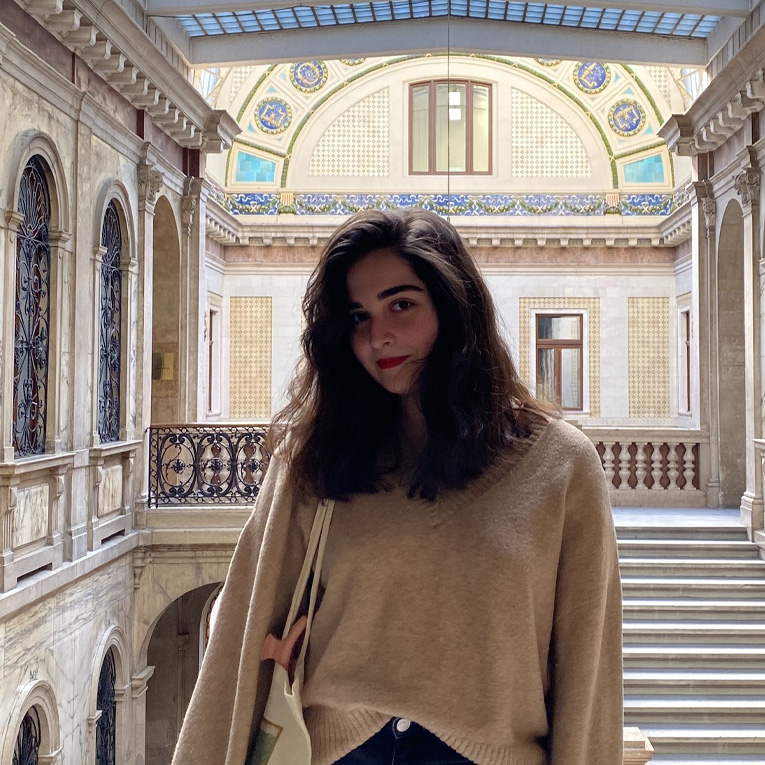 Tavisufali Universitetis Gundma Jessup Is Imitirebul Sasamartlo Processi Gaimarjva